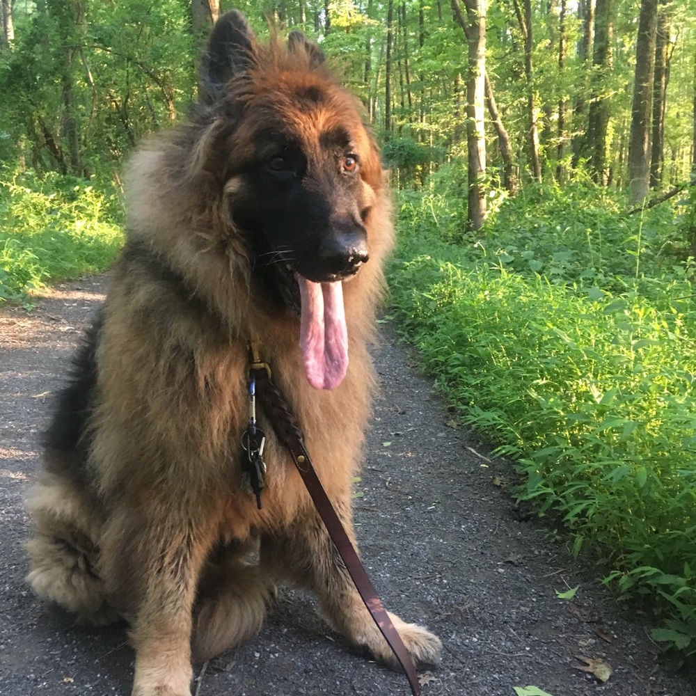 Meet your Posher, Mariajesus